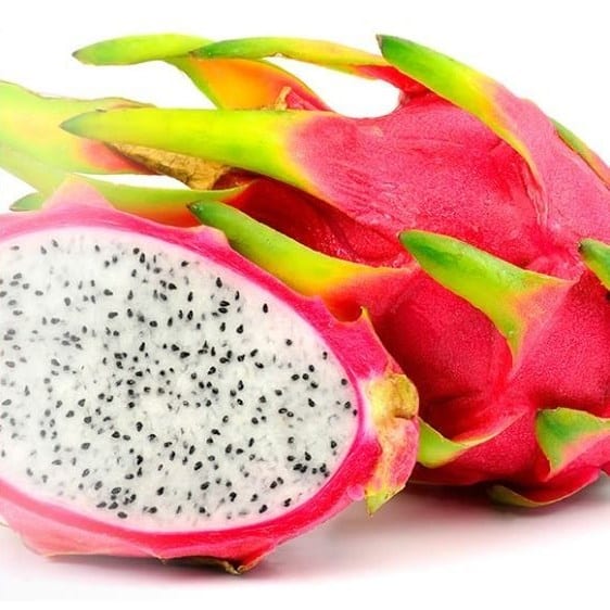 Capella Dragon Fruit