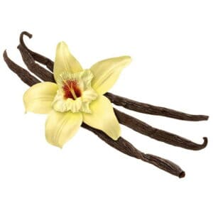 Capella French Vanilla