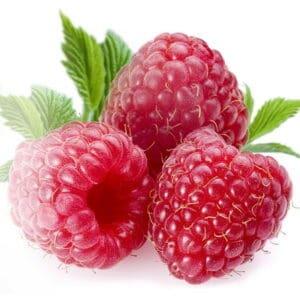 Capella Raspberry