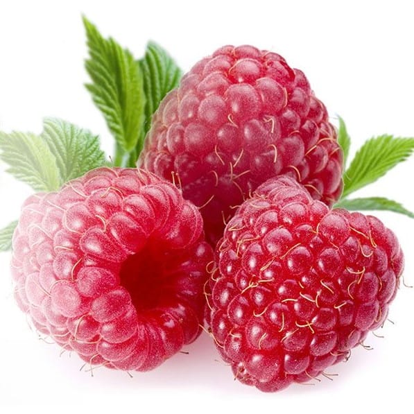 Capella Raspberry