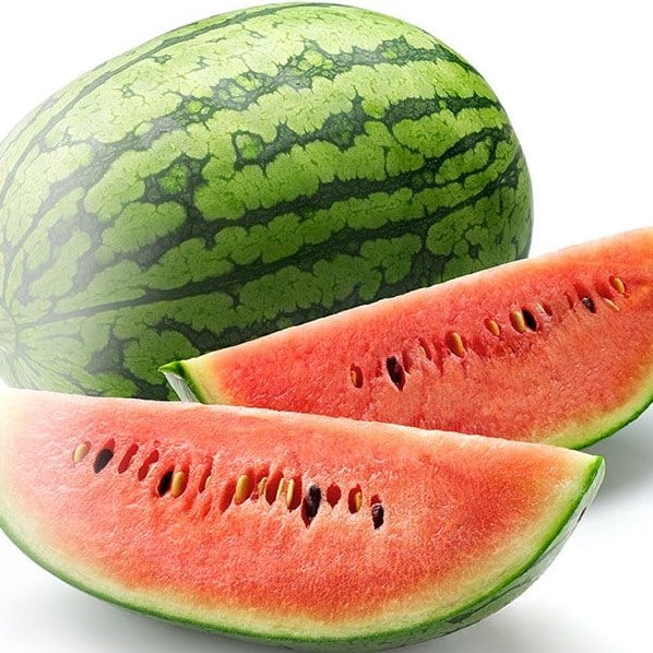 Capella Sweet Watermelon