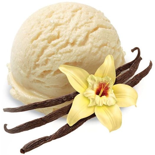 Capella Vanilla Bean Ice Cream