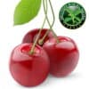 Capella Wild Cherry With Stevia