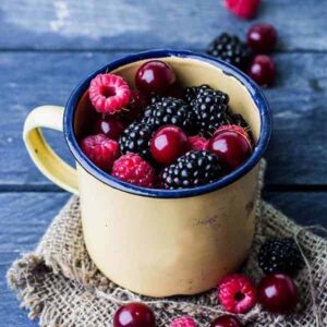 Forestberry Fusion Mt Baker Vapor