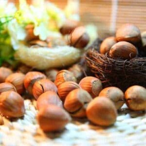 Hazelnut Mt Baker Vapor