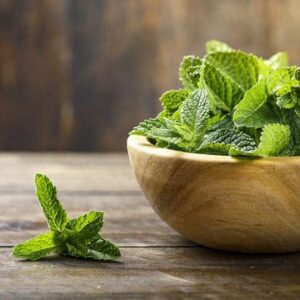 Spearmint Mt Baker Vapor Mt Baker Vapor