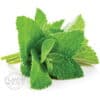 Spearmint Natural Flavor West Concentrate