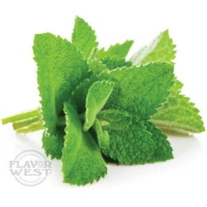 Spearmint Natural Flavor West Concentrate