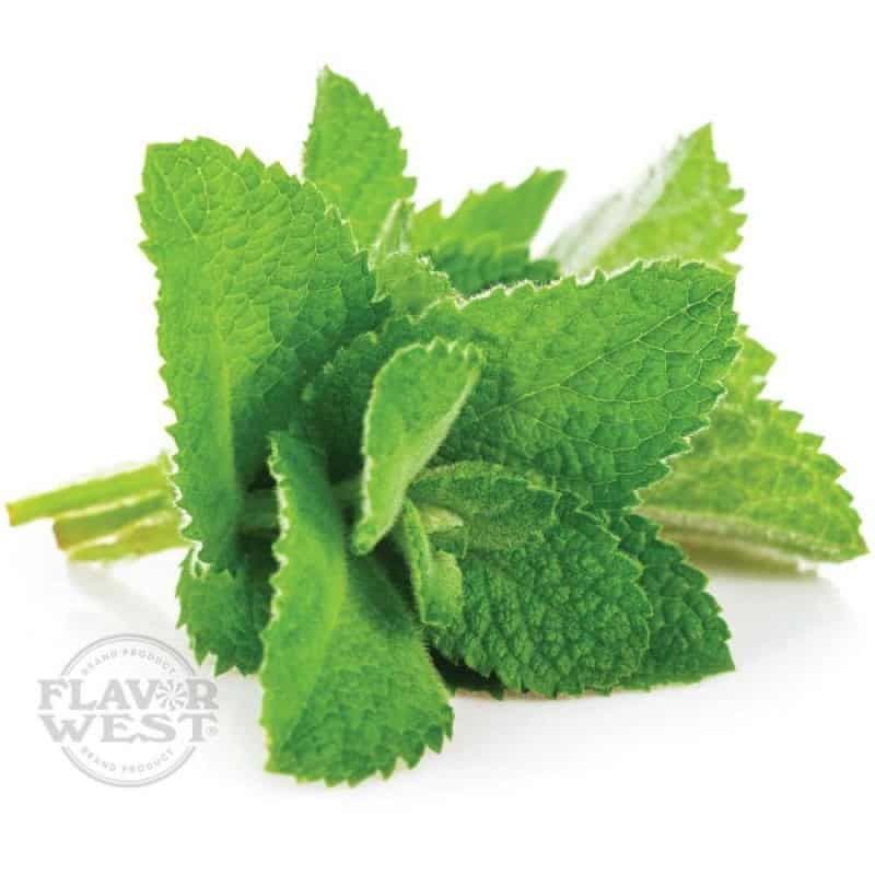 Spearmint Natural Flavor West Concentrate