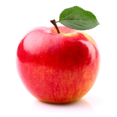 The Flavor Apprentice Apple