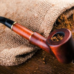 The Flavor Apprentice Cigarillo