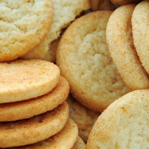 The Flavor Apprentice Cinnamon Sugar Cookie
