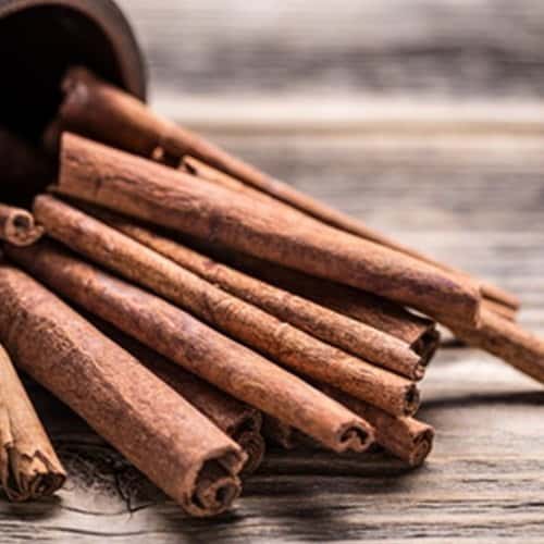 The Flavor Apprentice Cinnamon