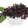 The Flavor Apprentice Elderberry