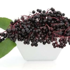 The Flavor Apprentice Elderberry