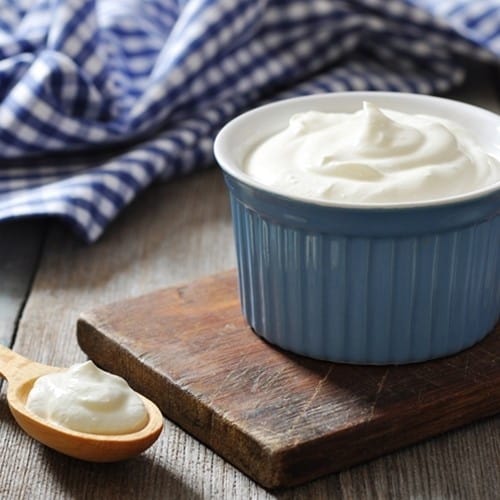 The Flavor Apprentice Greek Yogurt