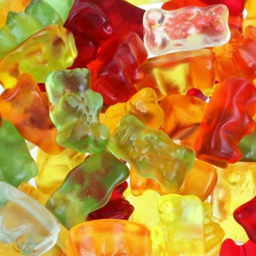 The Flavor Apprentice Gummy Candy
