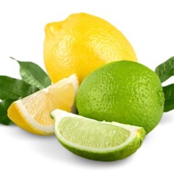 The Flavor Apprentice Lemon Lime 2