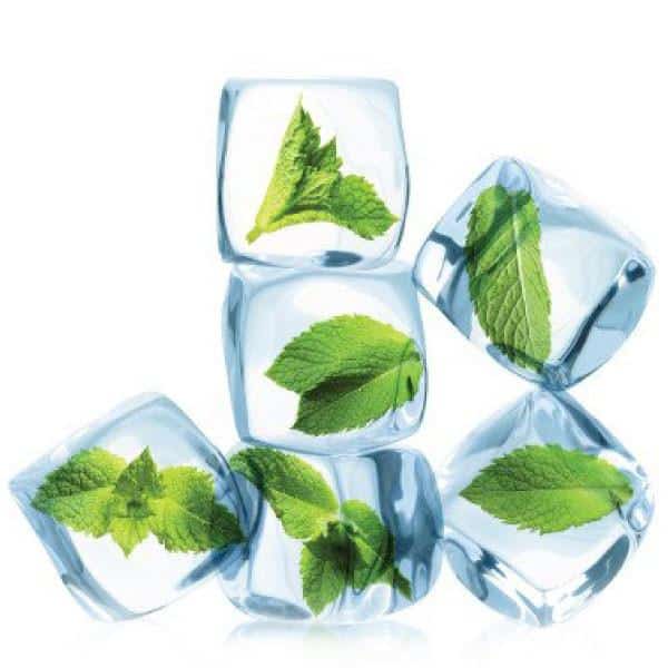 The Flavor Apprentice Menthol Liquid