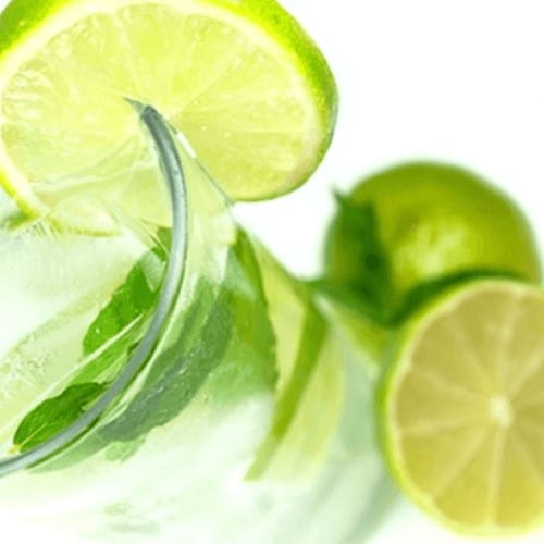 The Flavor Apprentice Mojito Havanna