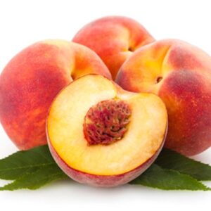 The Flavor Apprentice Nectarine