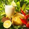 The Flavor Apprentice Pina Colada