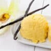 The Flavor Apprentice Vanilla Bean Gelato