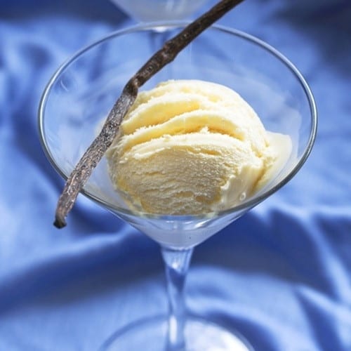 The Flavor Apprentice Vanilla Bean Ice Cream